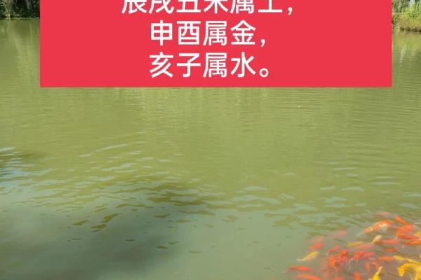 舌尖上的地支：食神秘籍大揭秘