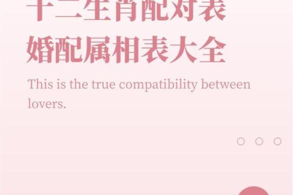 生辰八字配对解析：命中注定的姻缘是否真实？