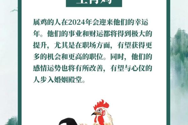 属鸡人的运势解析