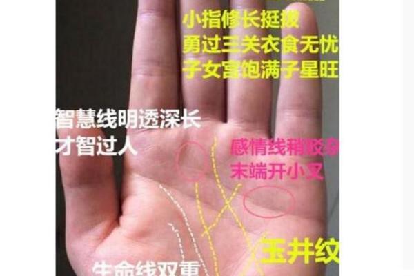 金星带在手，财运亨通的秘密！