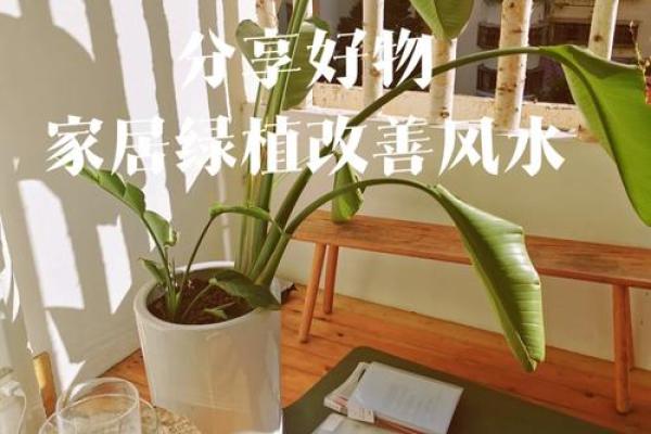 家居风水大揭秘：如何一改风水，轻松招财？