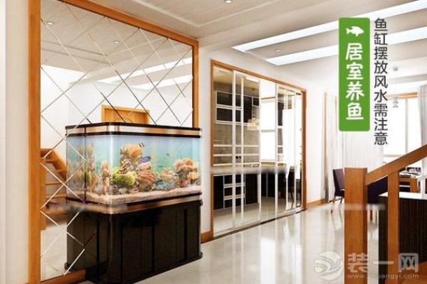 打造风水宝地，家居木龙摆放技巧全解析