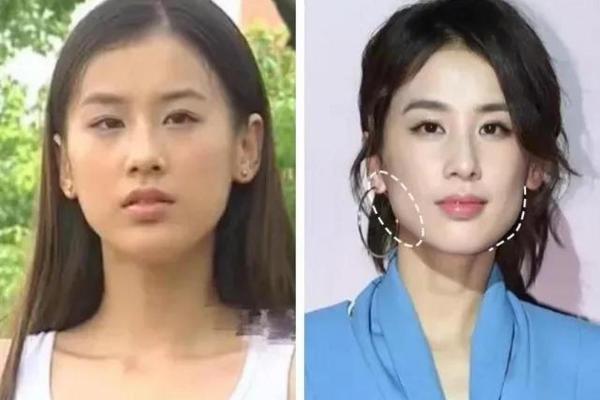 薛佳凝命理揭秘：明星命运背后的神秘力量