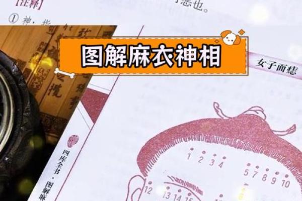 解锁命运密码：柳庄神相痣相图大揭秘