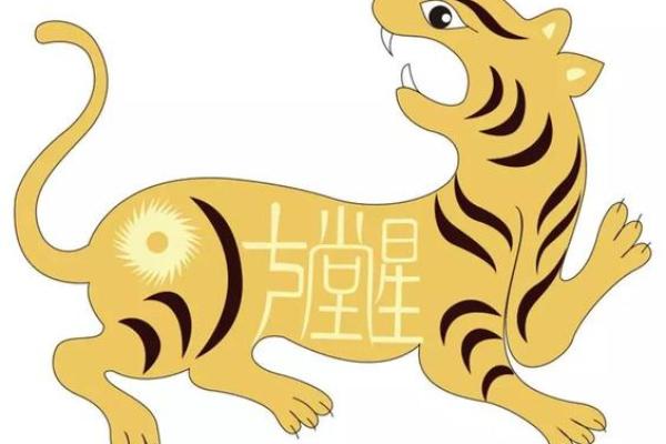 2020庚戍年运势宝典：抓住机遇，成就辉煌人生