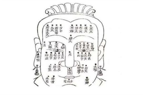 阴囊痣：解读男人痣相中的不传之秘