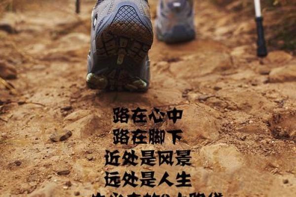 赵飞：从名字的寓意探寻人生的飞翔之道