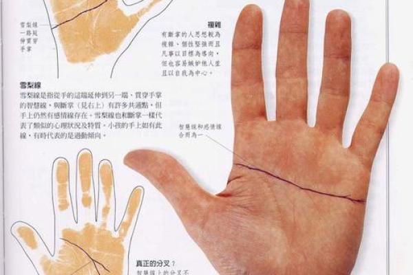 手相解码秘籍：男人运势手相图解宝典