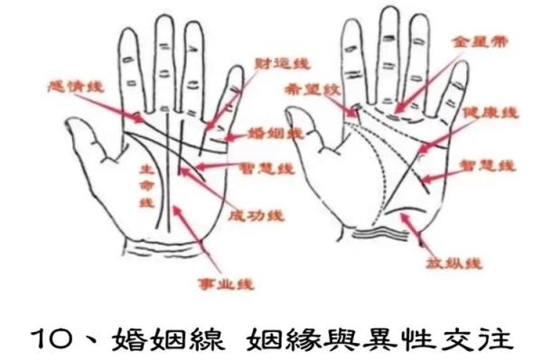 手相解码秘籍：男人运势手相图解宝典