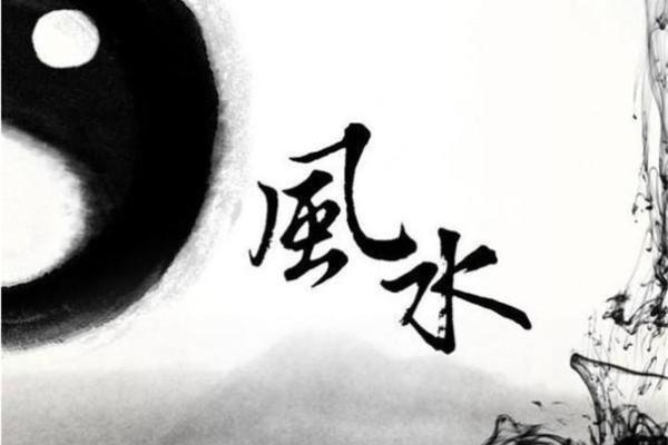 招财龟风水宝物，家居财运亨通必备！