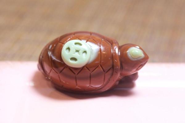 招财龟风水宝物，家居财运亨通必备！