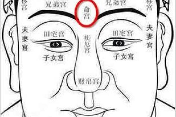 面相揭秘：一眼看穿命运走势！