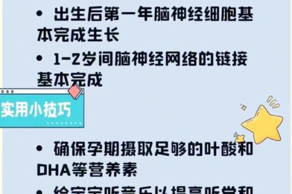 提前降临的奇迹：早产儿命理解读未来潜能