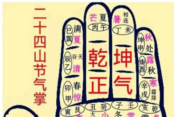 泽字的五行与命理影响