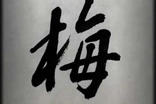 蓥字在名字中的独特寓意与文化象征