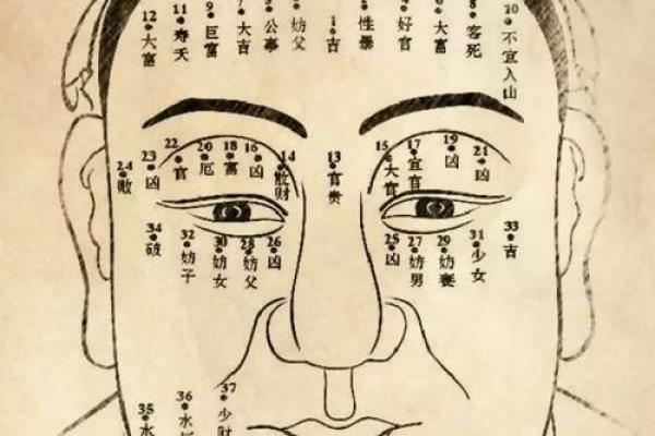 面相风水痣：揭秘你的命运密码，一窥未来运势！
