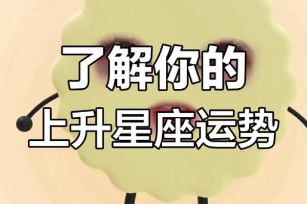 如何通过星座运势软件提升生活质量