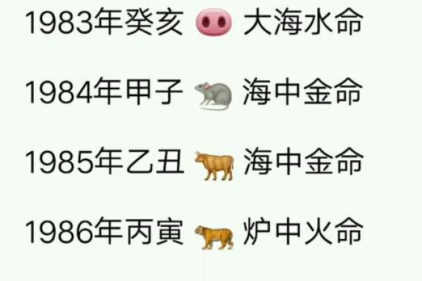 属什么五行？深度解读你的命格