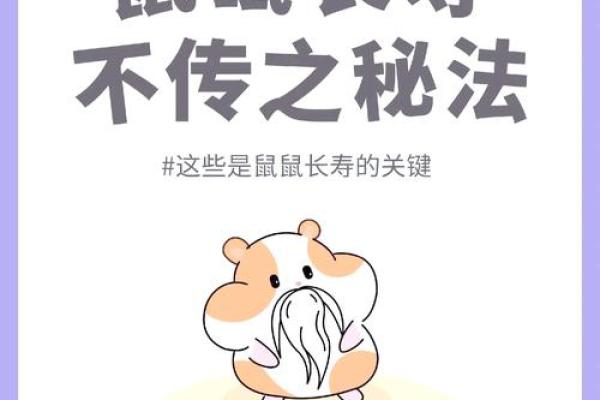 鼠年运势大揭秘：如何抓住机遇？