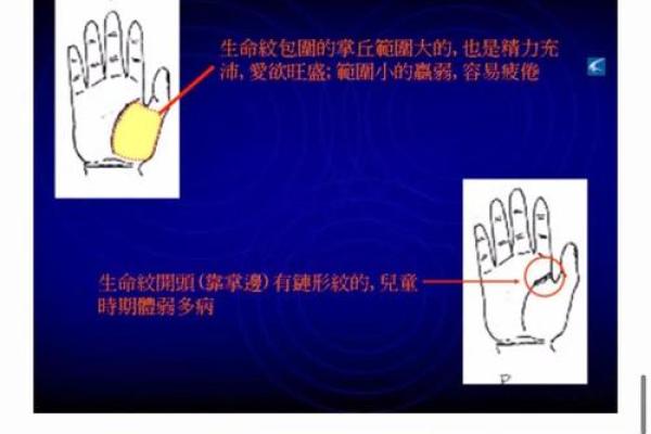 星光手相，命运轨迹揭秘