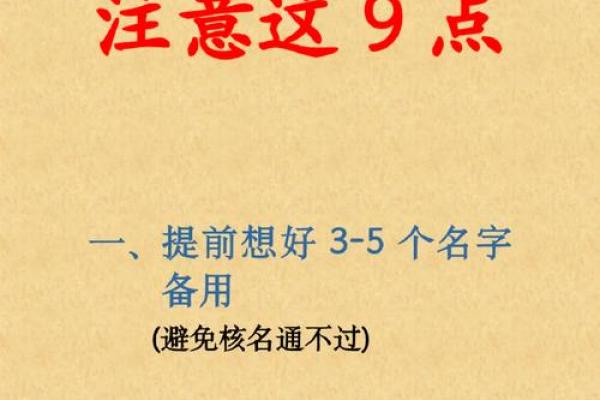 起名网站公司带来的创新命名方案
