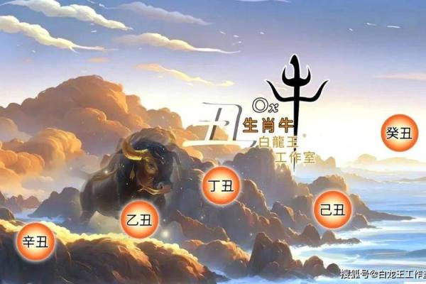 出生属牛人的运势走向