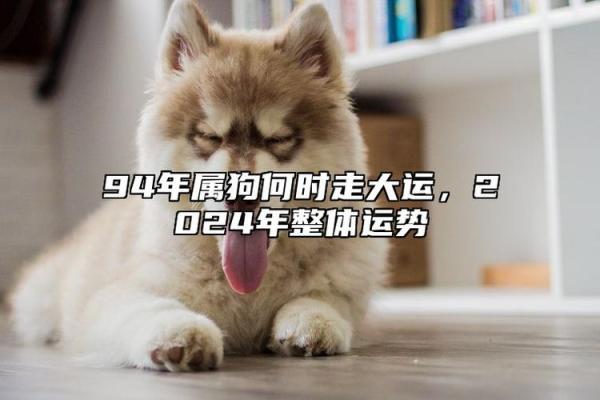 属狗明日运势大爆发财运亨通，福星高照