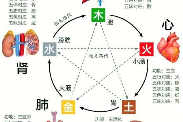 五行相生相克，如何影响我们的命运
