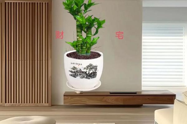 风水大师推荐，招财旺宅神器抢购中