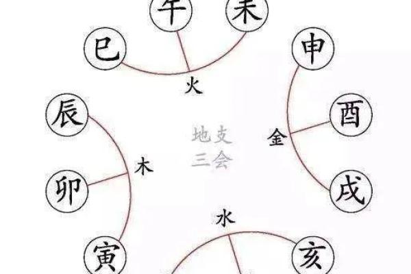 地支吉凶暗合，运势起伏，揭秘人生转折点