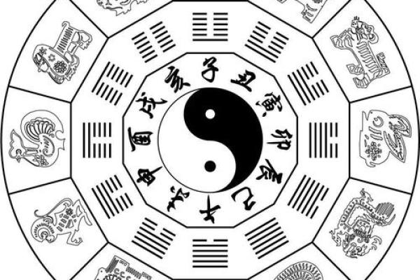 地支与肛门：运势大揭秘，快来了解