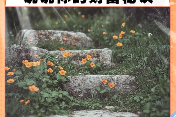 地支财气十足，财富翻倍秘诀大公开