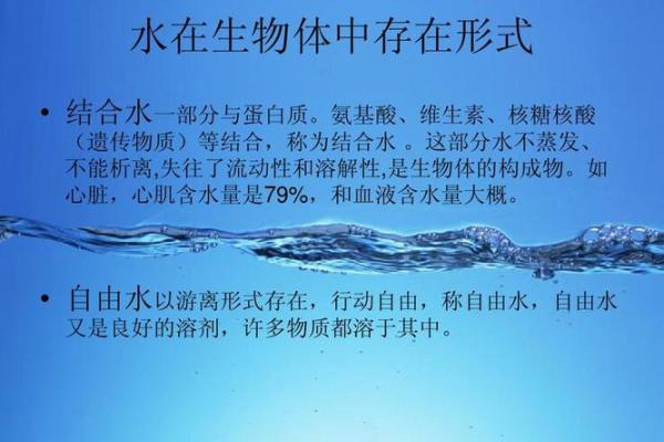 水与金的结合 企业命名中的独特象征意义