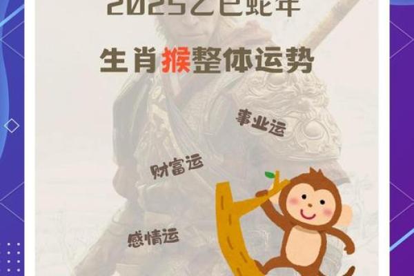猴年新春，2018运势大爆发