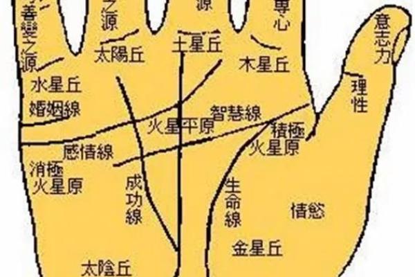 手相解读：如何从掌纹中洞察健康与命运