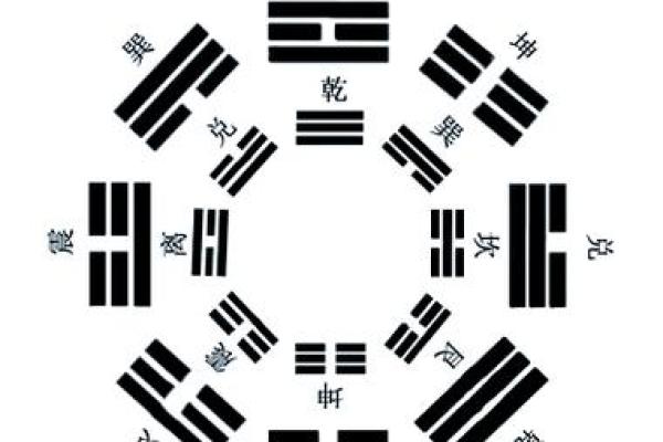 地支合太多，财运亨通的秘密武器