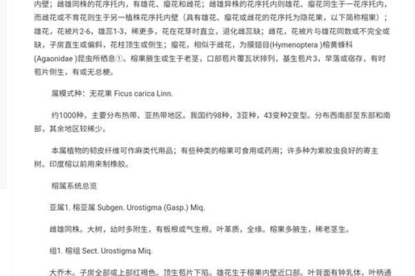 榕意盎然：探寻榕字在名字中的吉祥寓意与内涿