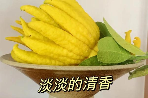 佛手奇缘，揭秘神秘异佛手之谜
