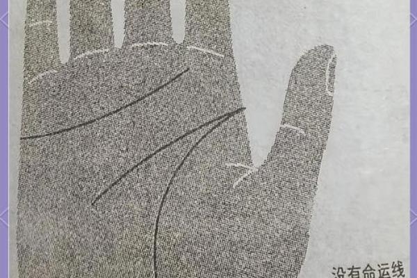 情感线交织，命运红线现