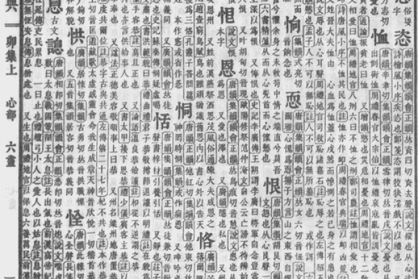 李成美：优雅与智慧并存，姓名运势解析