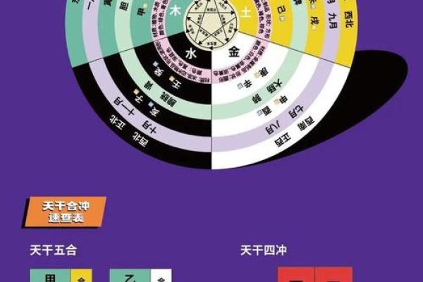 探秘地支食神之力，运势翻倍提升