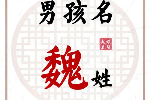 魏姓女孩名字之美：内涵丰富的命名艺术鉴赏