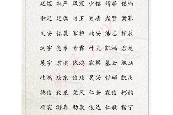 朴男孩名字的独特寓意与文化背景