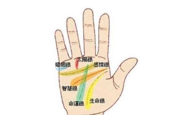 精准手相揭秘，指头圆润运势佳