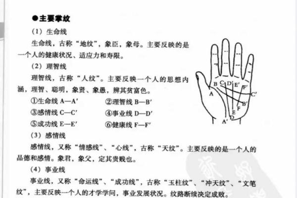 财运滚滚，揭秘手相中的秘密金脉