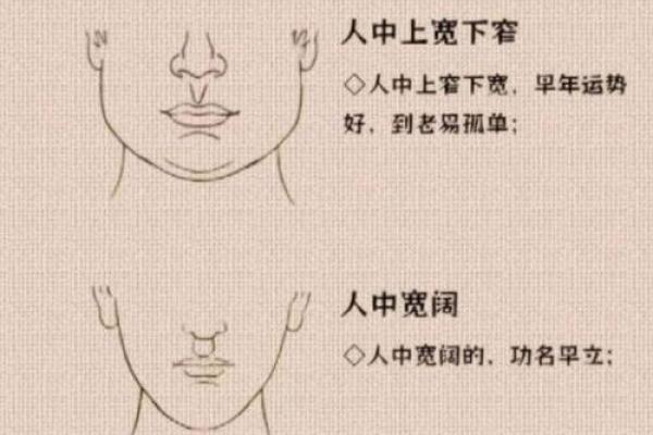面相揭秘：揭秘你的命运密码，一测便知！