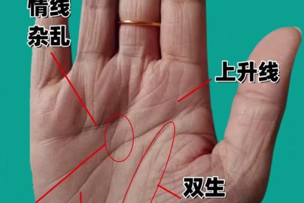 一指窥天机：手相全解图，掌握人生运势的关键