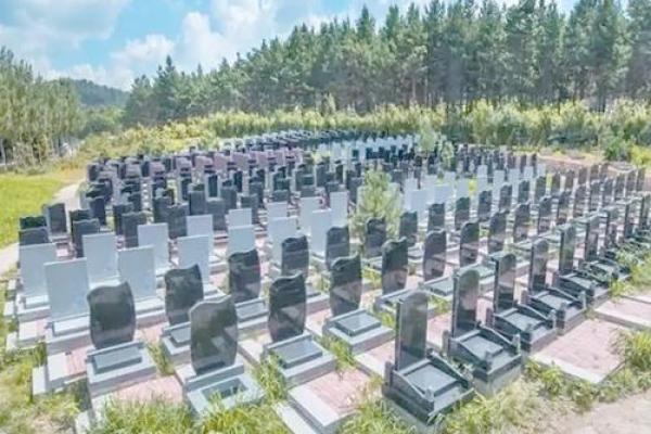 福州墓地风水解析：办公室风水大师亲授选址秘籍，财运滚滚来！