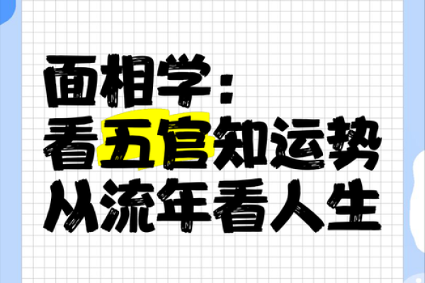 面相秘诀：骨缝透露的运势秘密