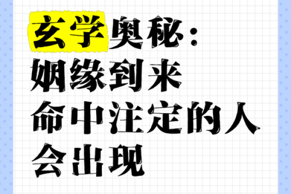 命中注定！免费命理分析，助你洞悉人生奥秘！